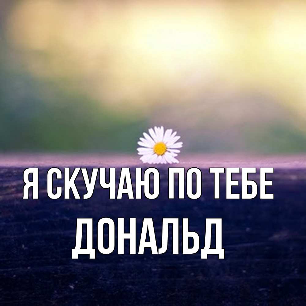 Открытка  с именем. Дональд, Я скучаю по тебе  