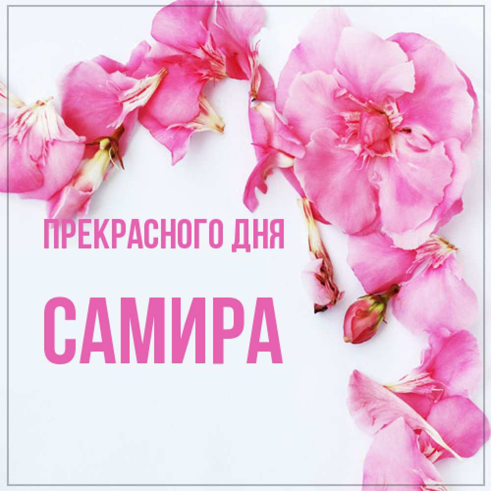 Открытка  с именем. Самира, Прекрасного дня  