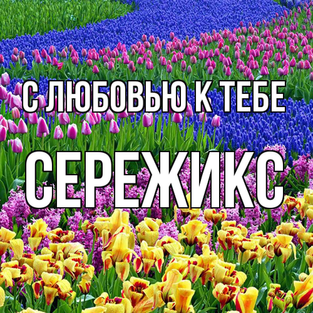 Открытка  с именем. Сережикс, С любовью к тебе  