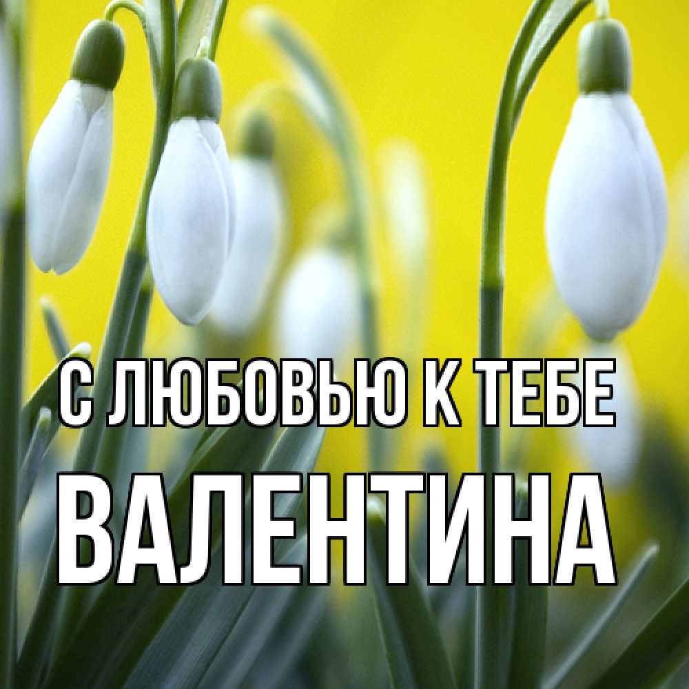 Открытка  с именем. валентина, С любовью к тебе  