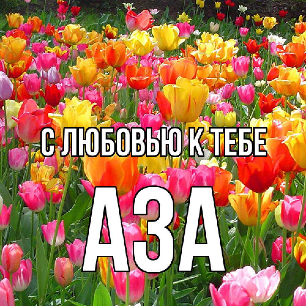 Открытка  с именем. Аза, С любовью к тебе  