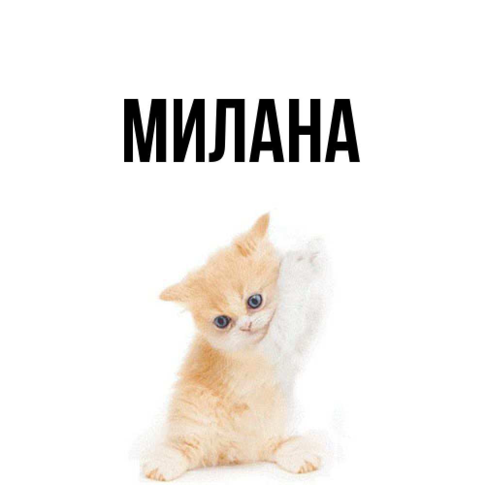 Открытка  с именем. Милана, Главная  