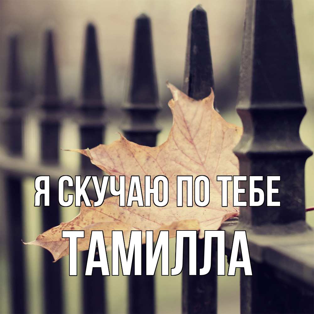 Открытка  с именем. Тамилла, Я скучаю по тебе  