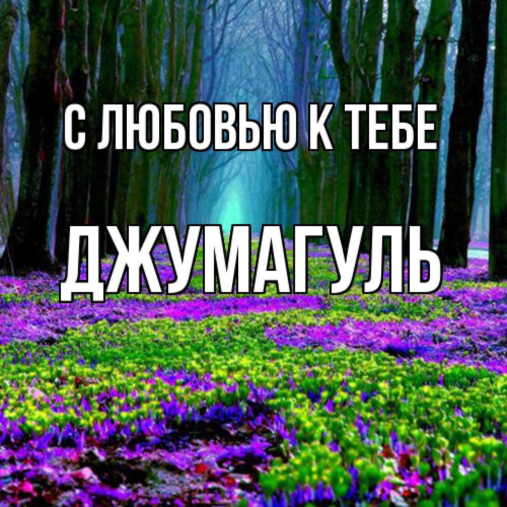 Открытка  с именем. Джумагуль, С любовью к тебе  