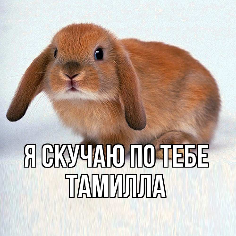 Открытка  с именем. Тамилла, Я скучаю по тебе  