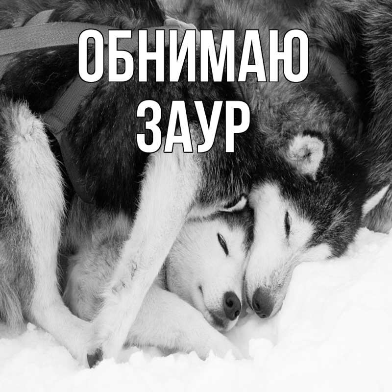 Картинка Обнимаю, Заур
