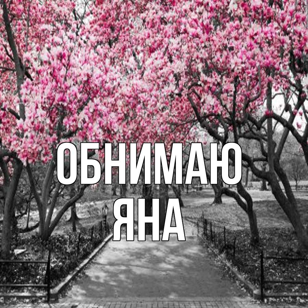 Открытка  с именем. Яна, Обнимаю  