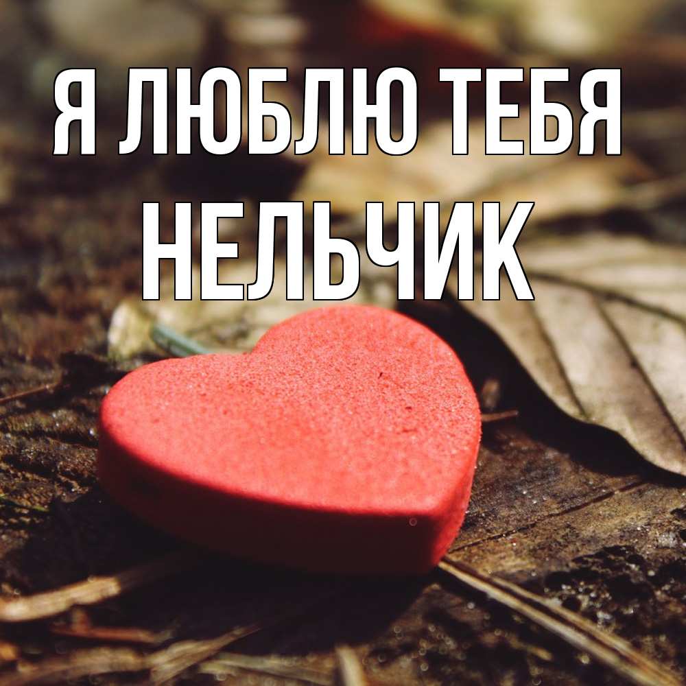 Открытка  с именем. Нельчик, Я люблю тебя  