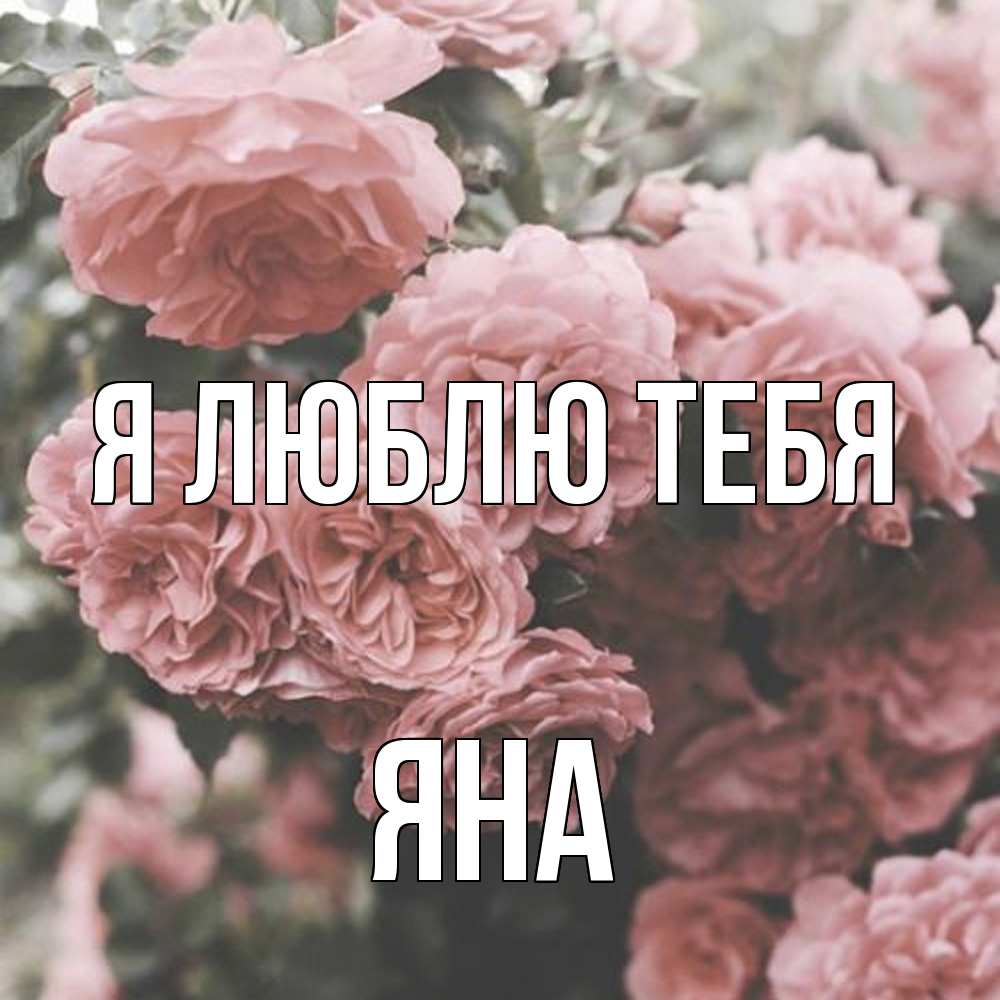 Открытка  с именем. Яна, Я люблю тебя  