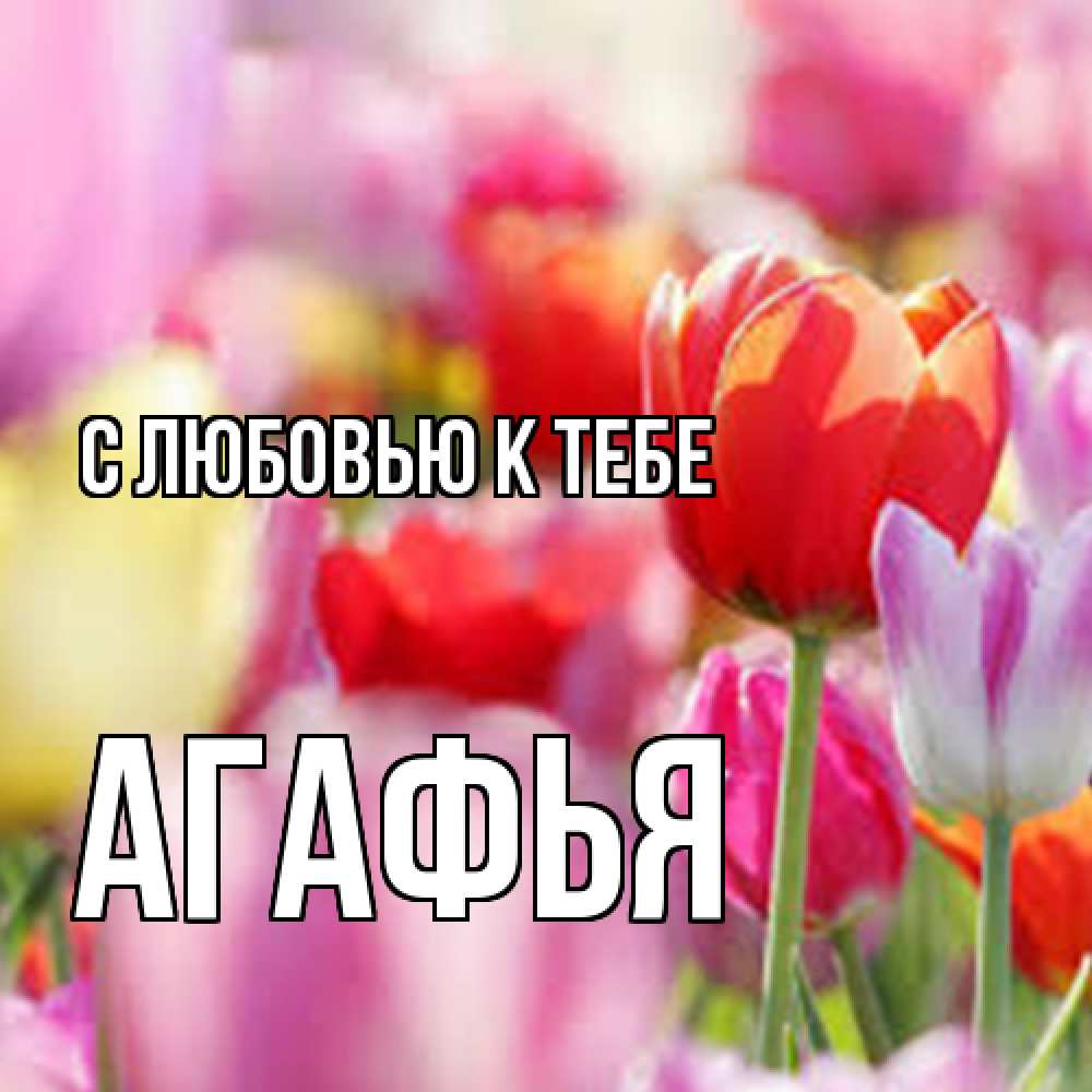 Открытка  с именем. Агафья, С любовью к тебе  
