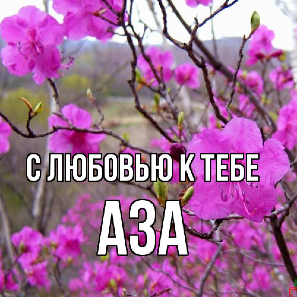 Открытка  с именем. Аза, С любовью к тебе  