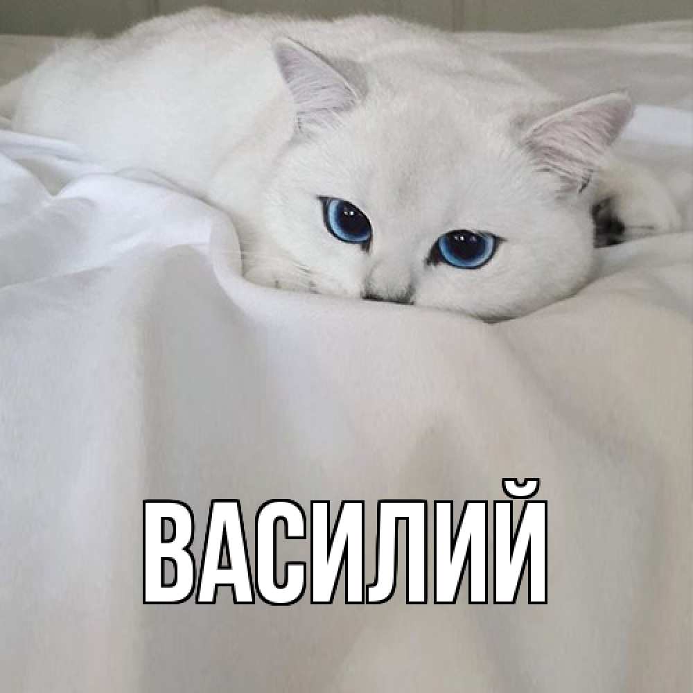 Открытка  с именем. Василий, Главная  