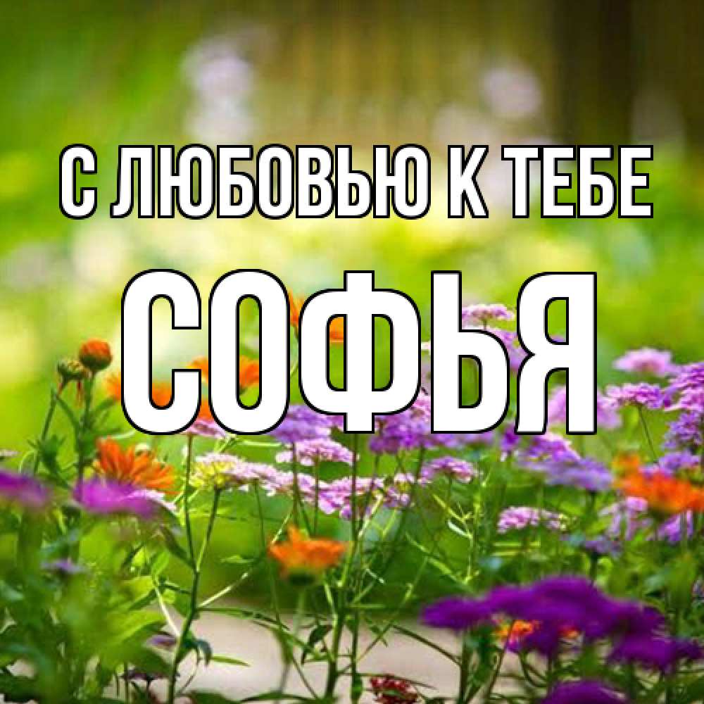 Открытка  с именем. Софья, С любовью к тебе  