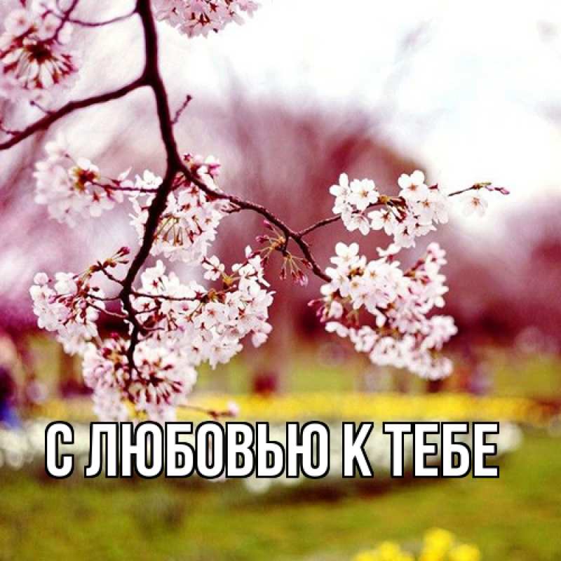 Картинка С любовью к тебе, 