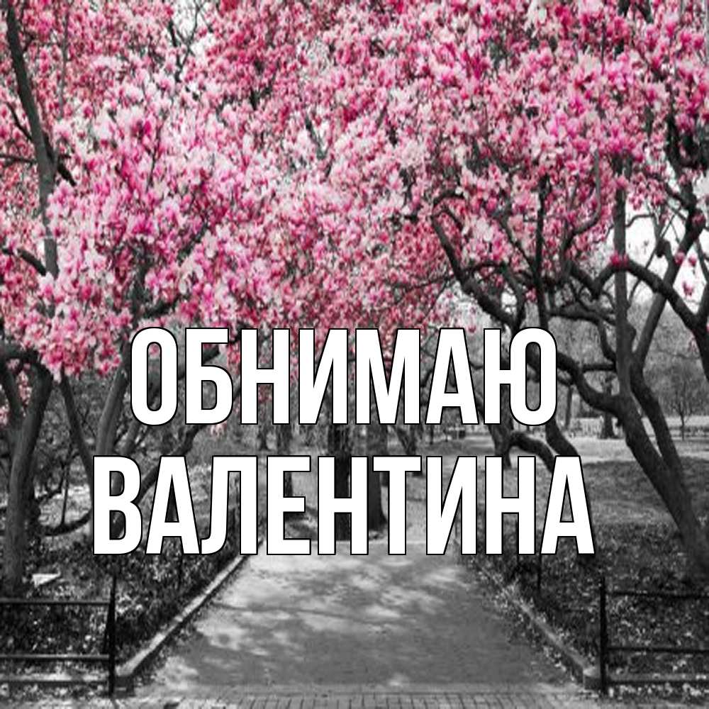 Открытка  с именем. валентина, Обнимаю  