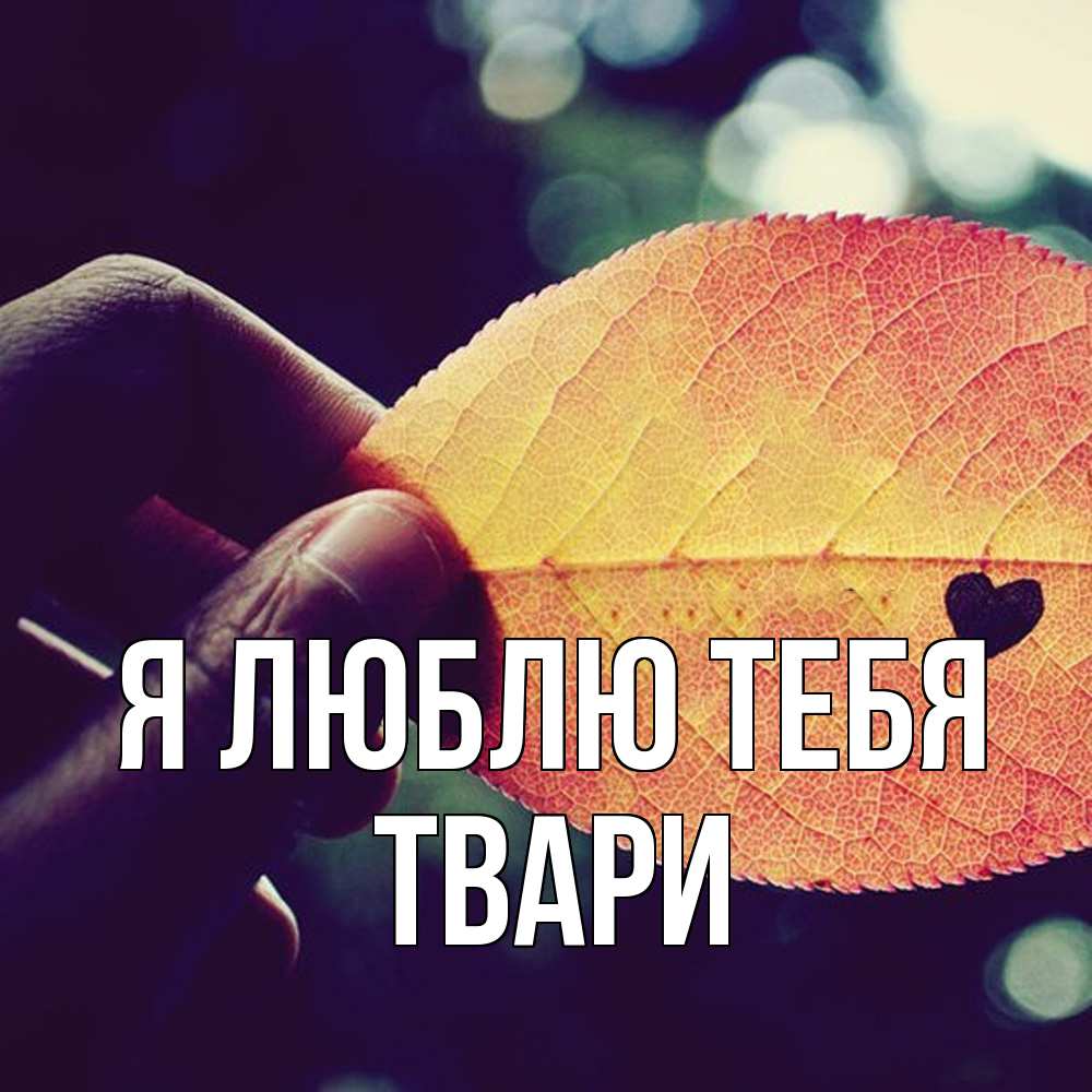 Открытка  с именем. твари, Я люблю тебя  