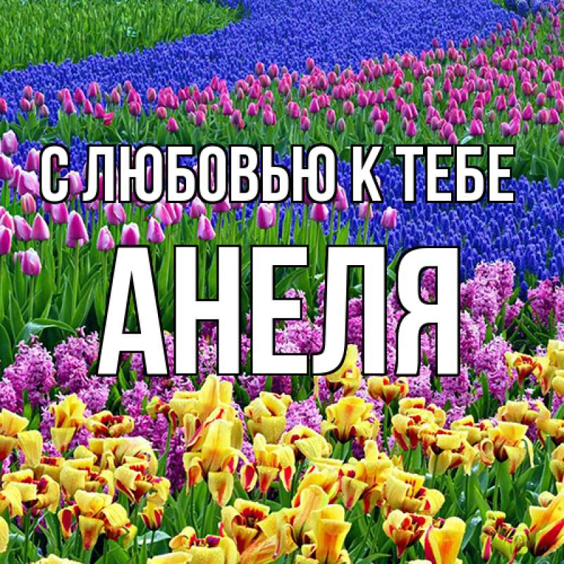 Картинка С любовью к тебе, Анеля