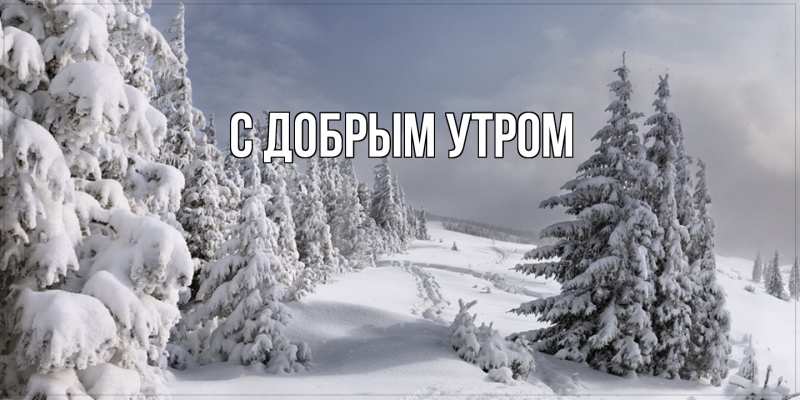 Картинка С добрым утром, 