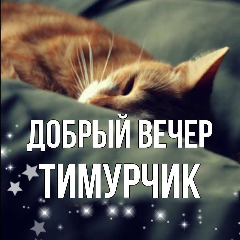 Открытка  с именем. Тимурчик, Добрый вечер  