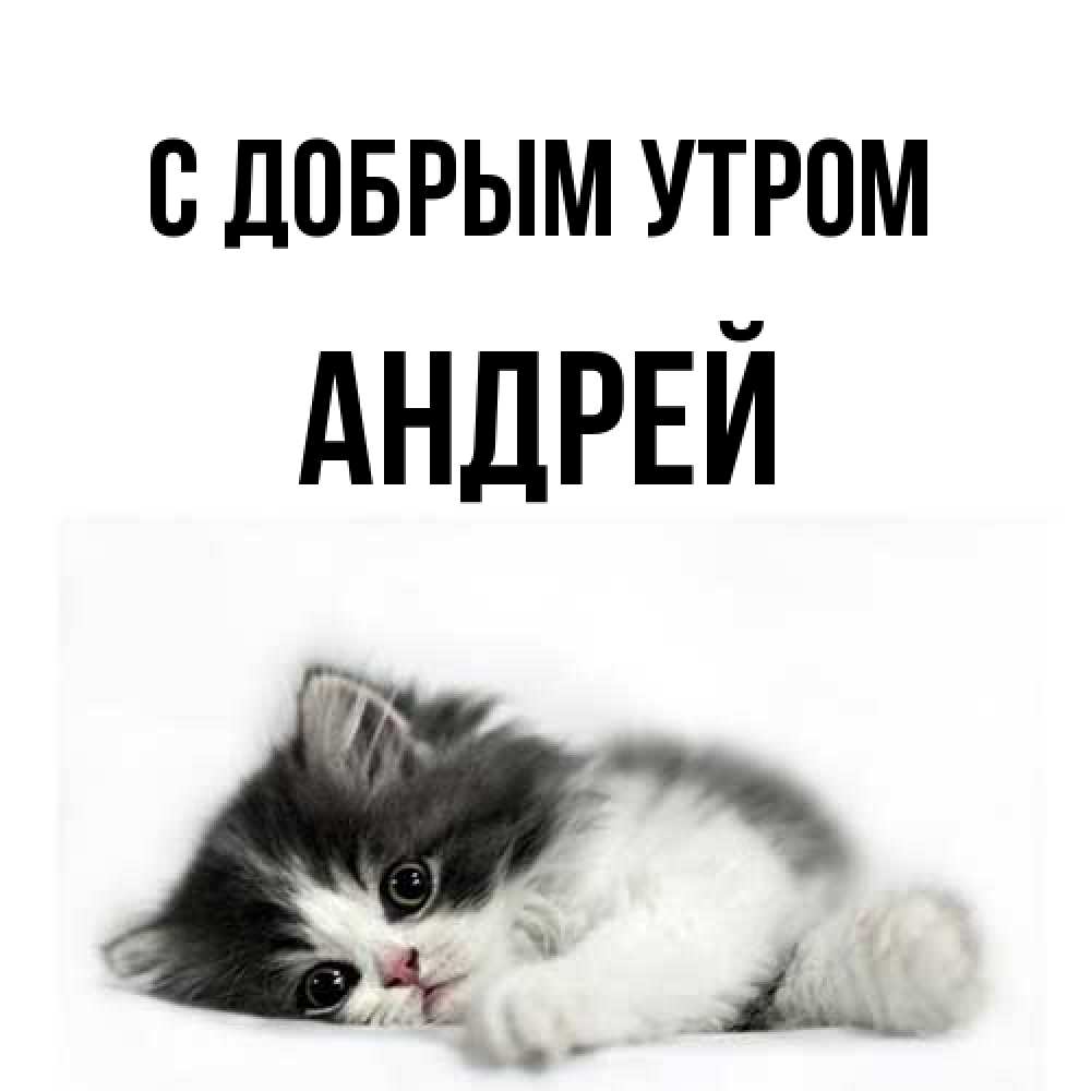 Открытка  с именем. Андрей, С добрым утром  