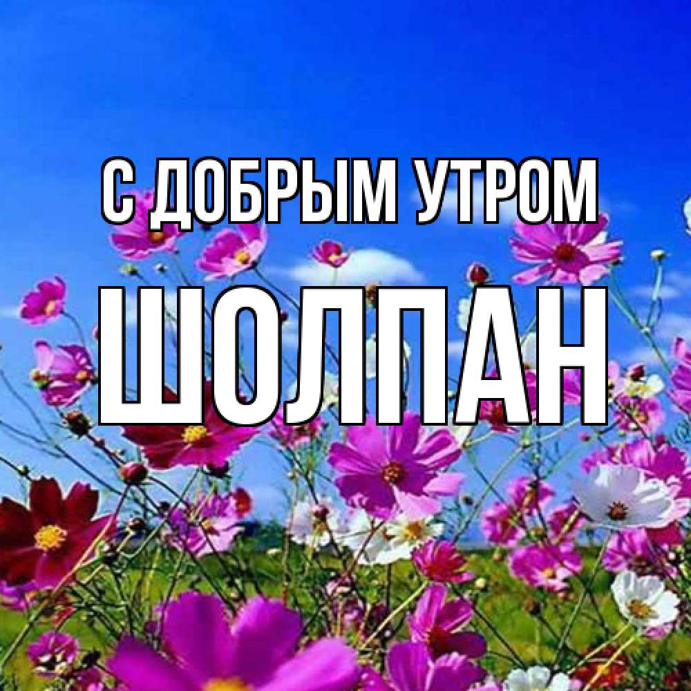 Открытка  с именем. Шолпан, С добрым утром  