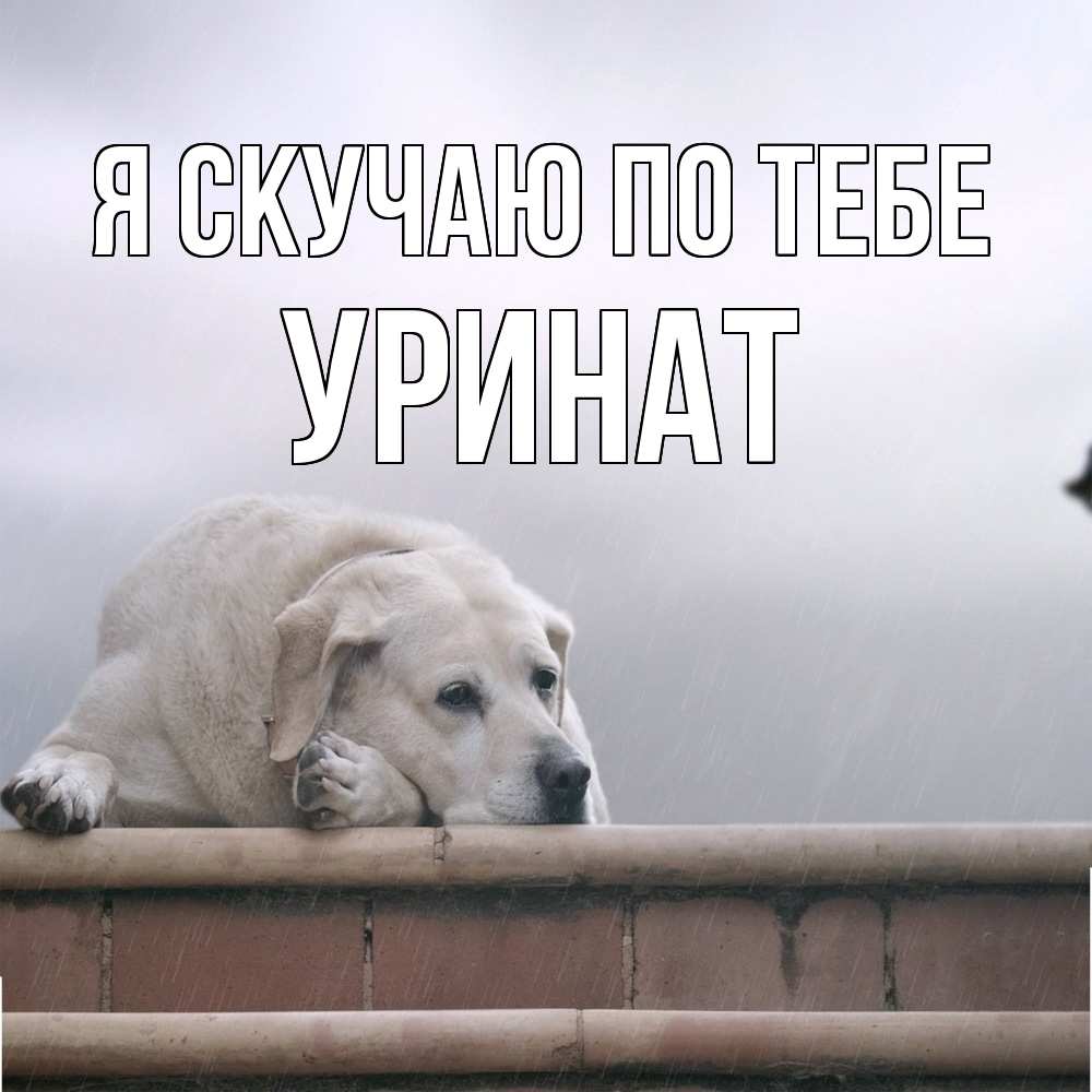 Открытка  с именем. уРинат, Я скучаю по тебе  