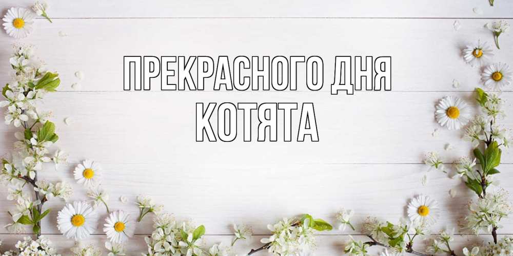 Открытка  с именем. Котята, Прекрасного дня  