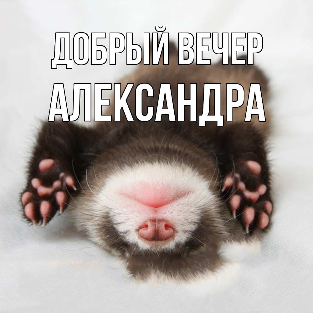 Открытка  с именем. Александра, Добрый вечер  