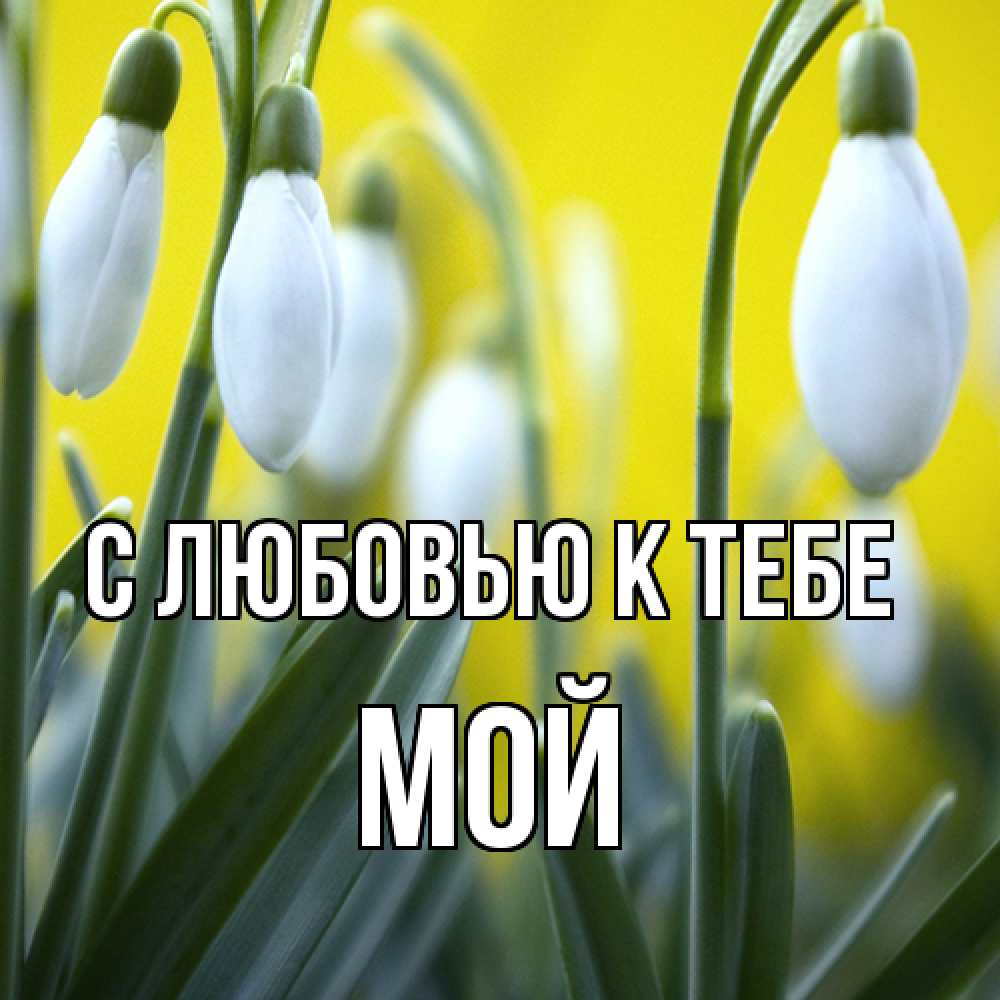 Открытка  с именем. Мой, С любовью к тебе  