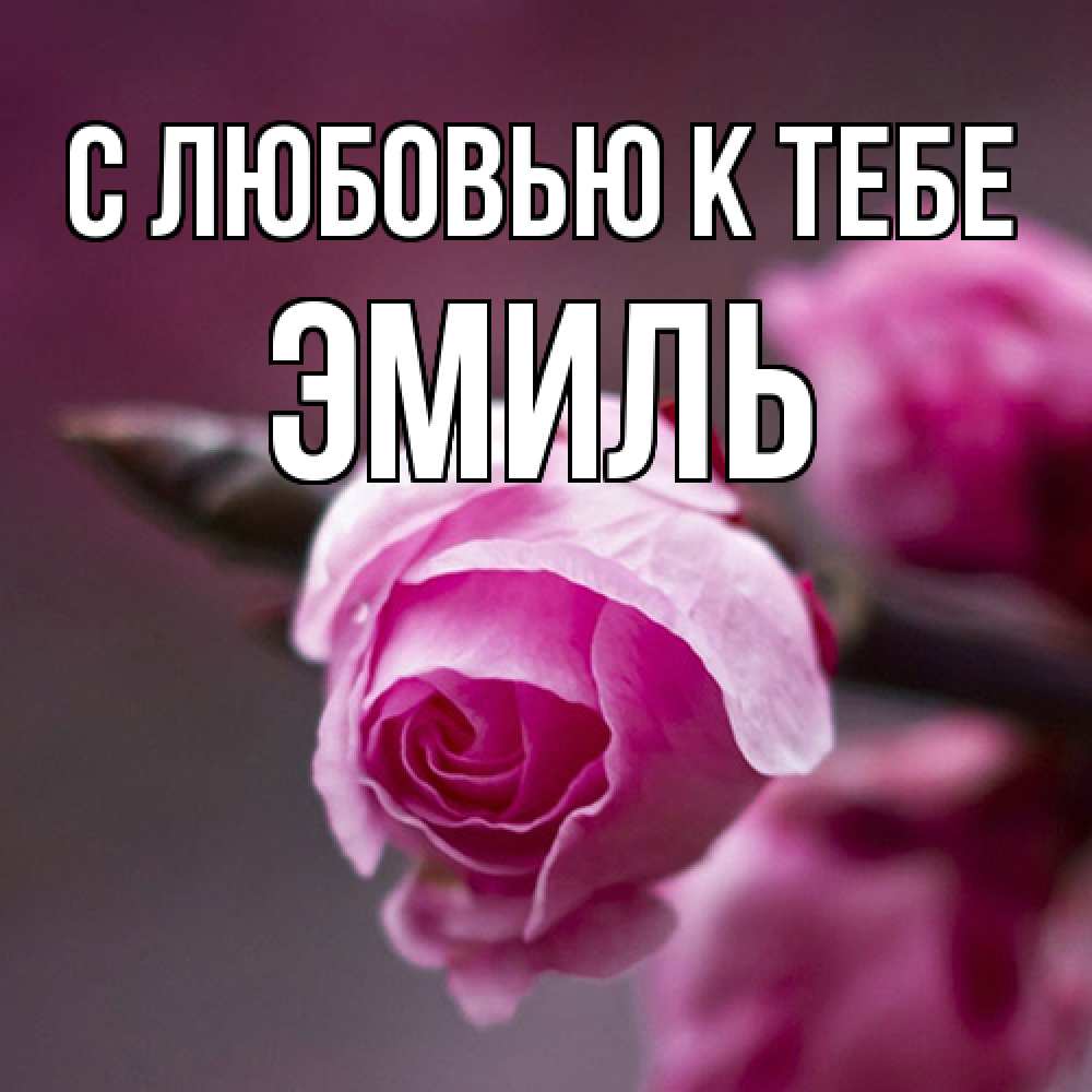 Открытка  с именем. Эмиль, С любовью к тебе  