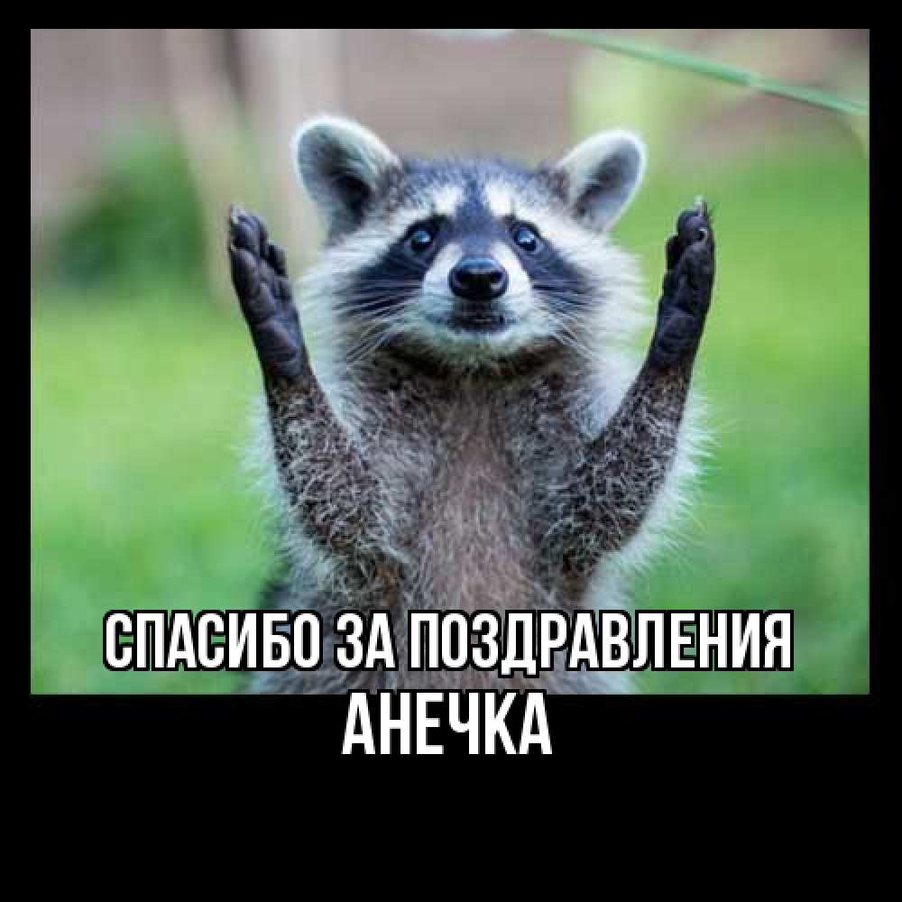 Открытка  с именем. анечка, Спасибо за поздравления  