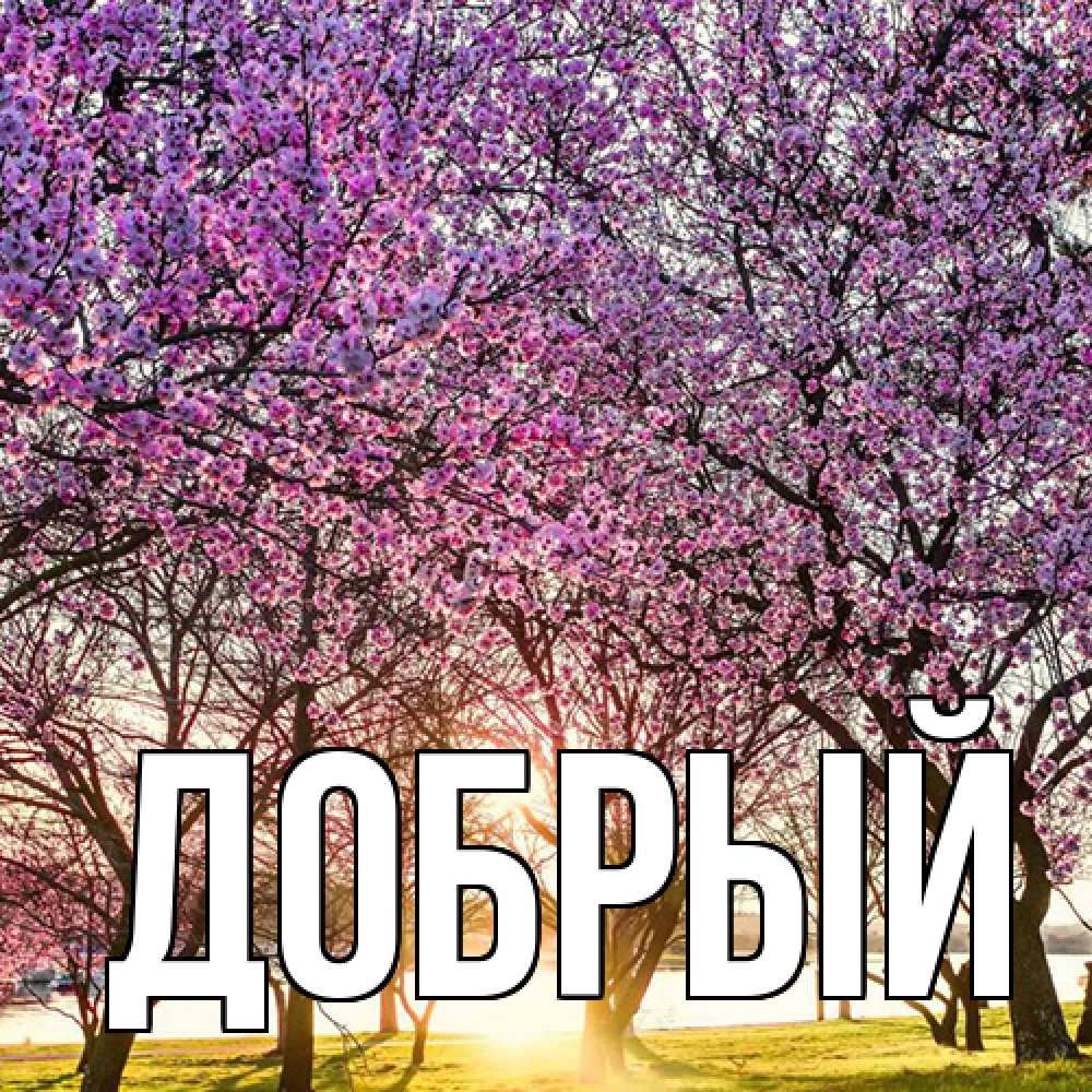 Открытка  с именем. Добрый, Главная  