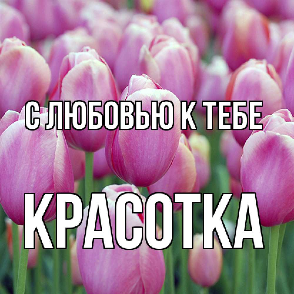 Открытка  с именем. Красотка, С любовью к тебе  