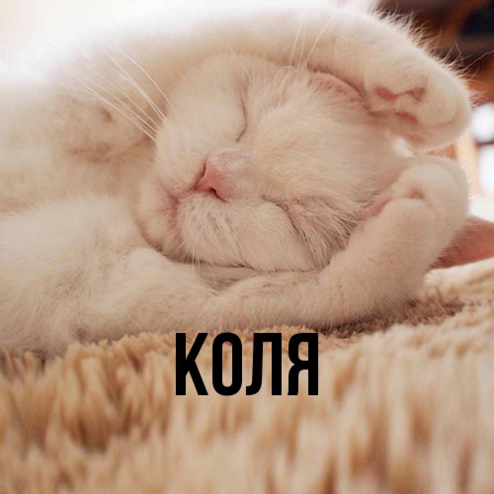 Открытка  с именем. коля, Главная  
