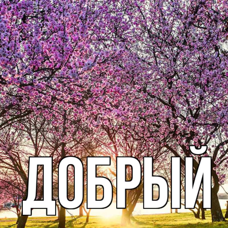 Картинка  с именем , Добрый