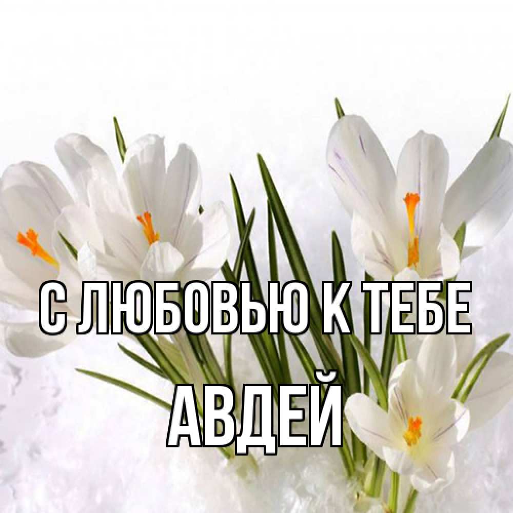 Открытка  с именем. Авдей, С любовью к тебе  