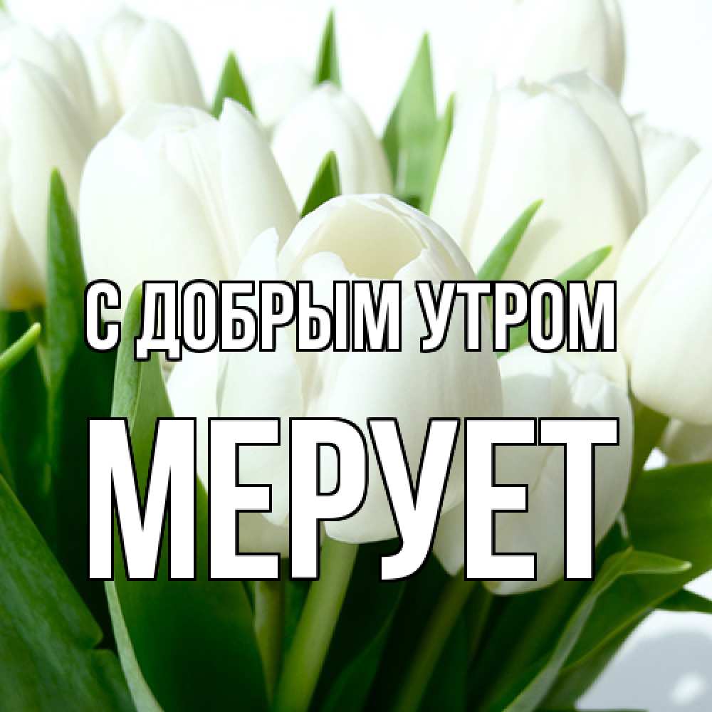 Открытка  с именем. Мерует, С добрым утром  