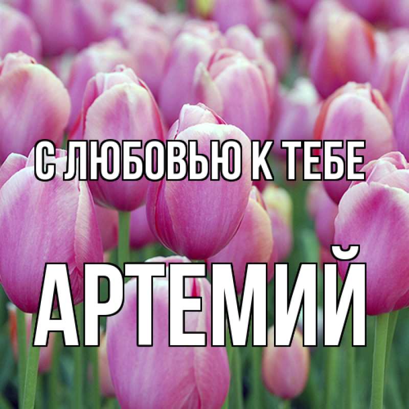 Картинка С любовью к тебе, Артемий