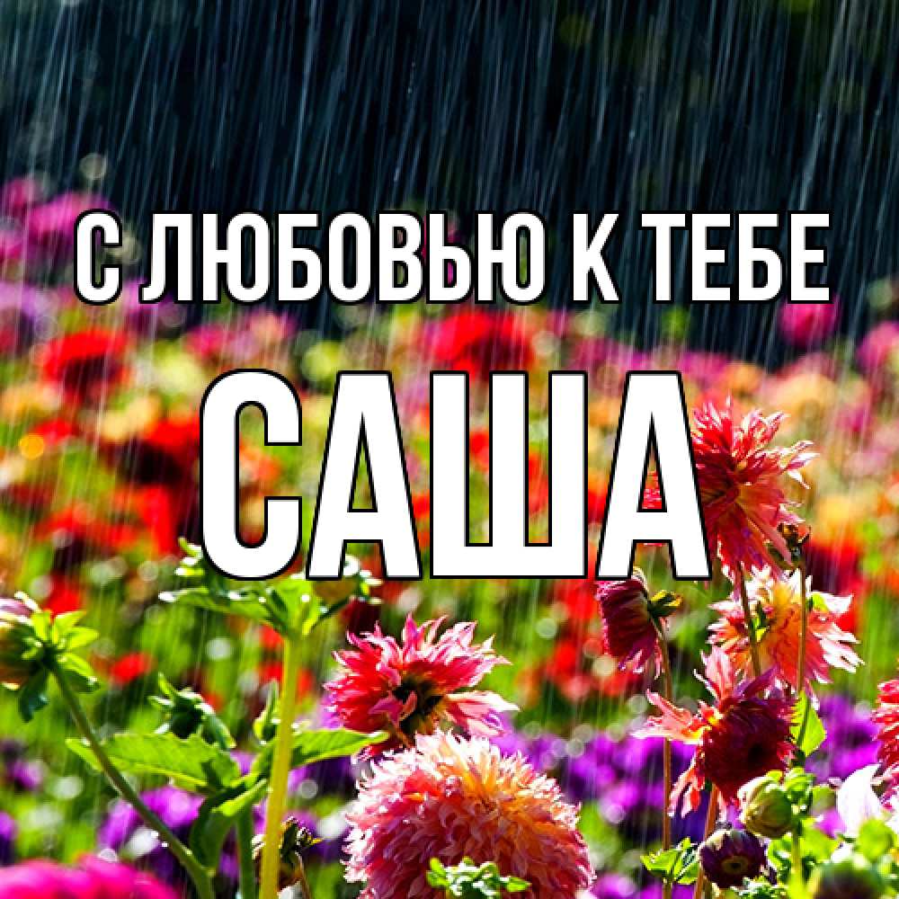 Открытка  с именем. Саша, С любовью к тебе  