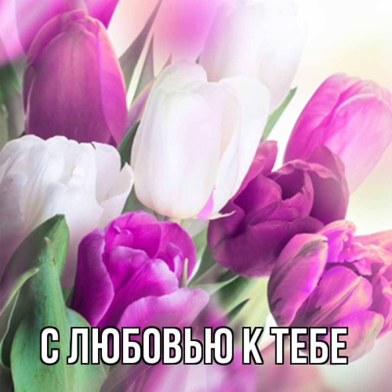 Картинка С любовью к тебе, 