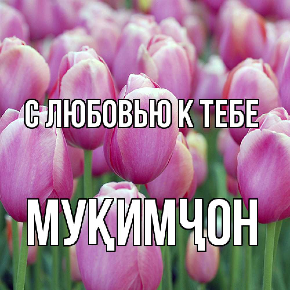 Открытка  с именем. Муқимҷон, С любовью к тебе  