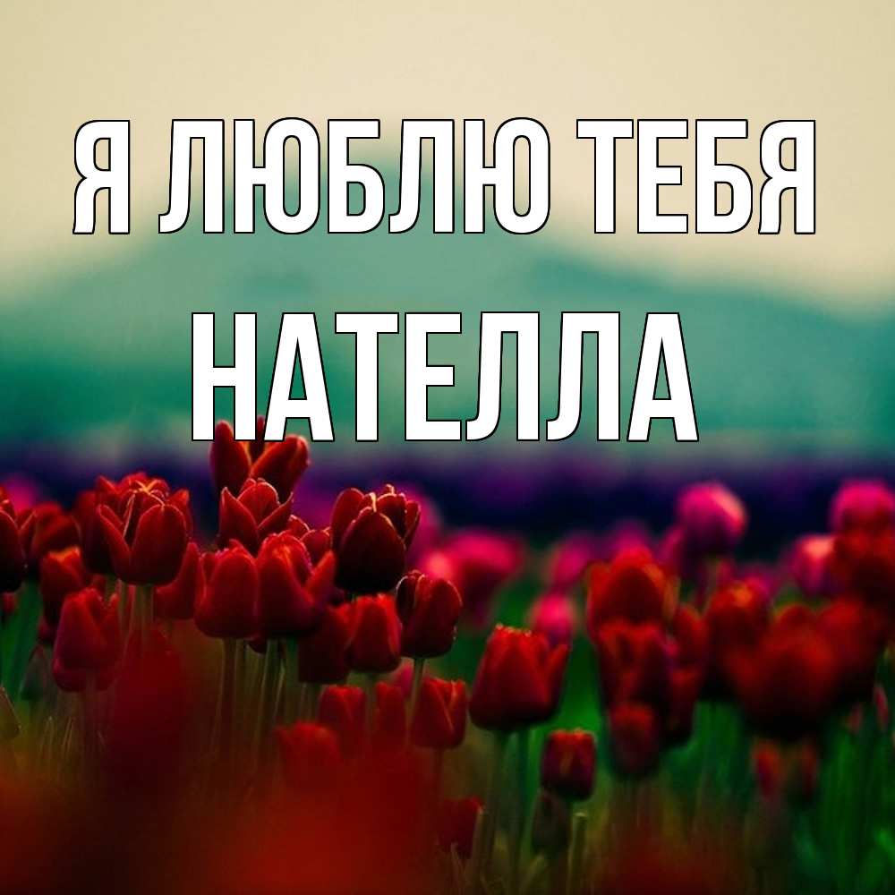 Открытка  с именем. Нателла, Я люблю тебя  