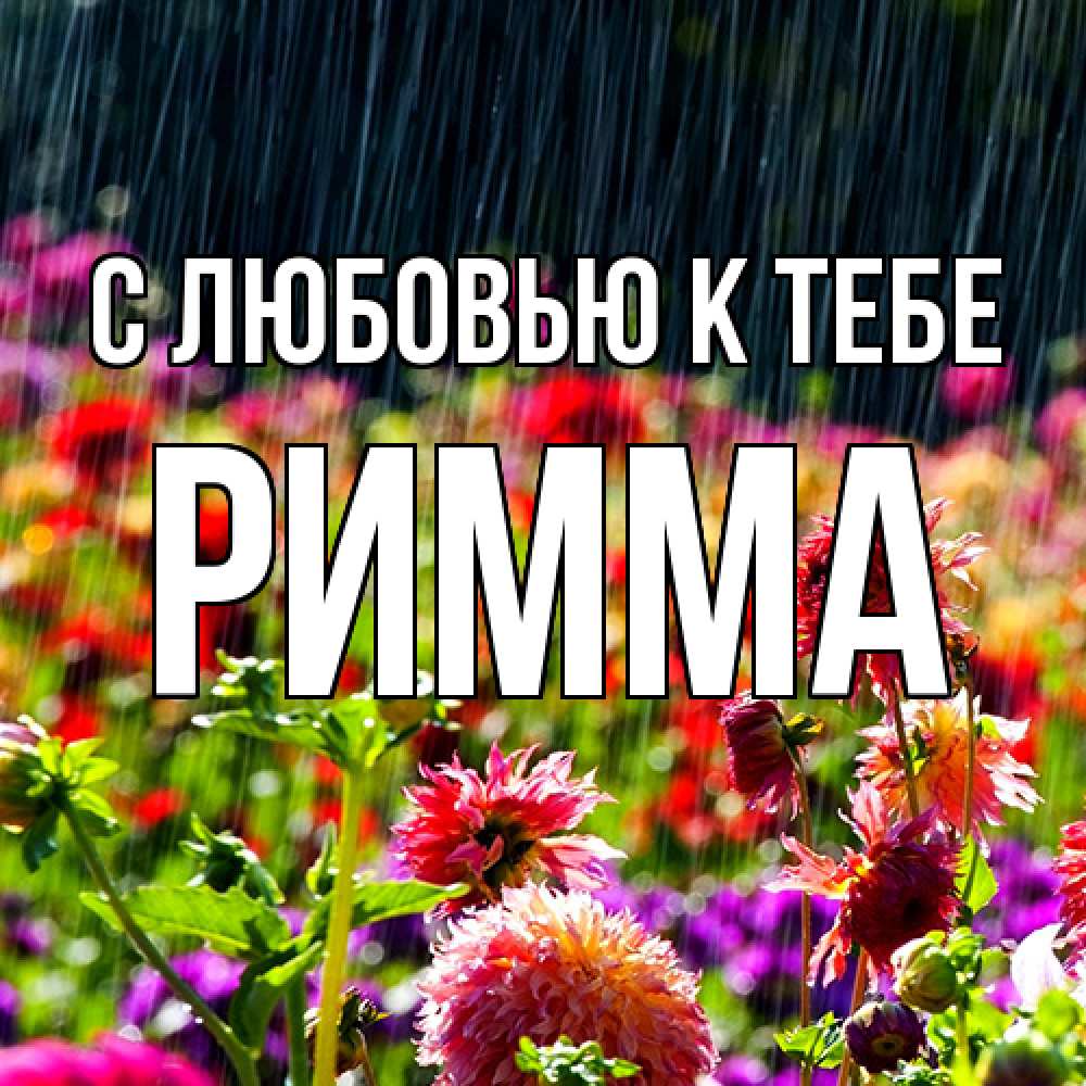 Открытка  с именем. Римма, С любовью к тебе  