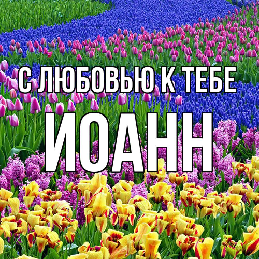 Открытка  с именем. иоанн, С любовью к тебе  