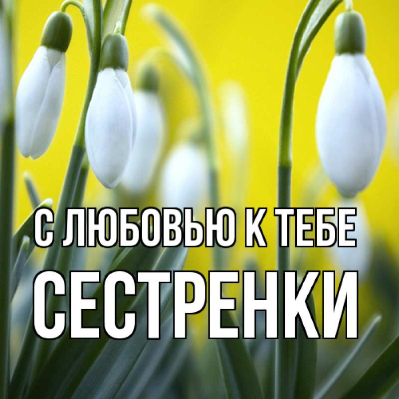 Картинка С любовью к тебе, Сестренки