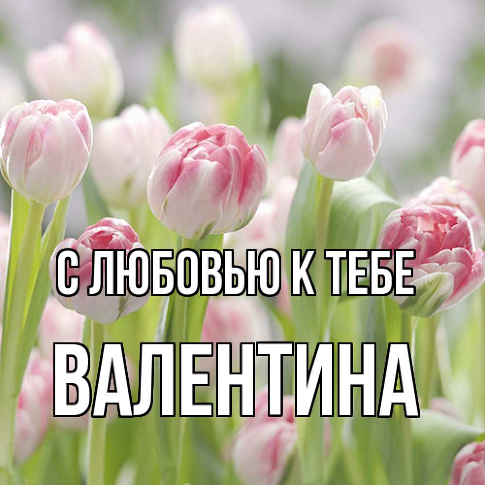 Открытка  с именем. валентина, С любовью к тебе  