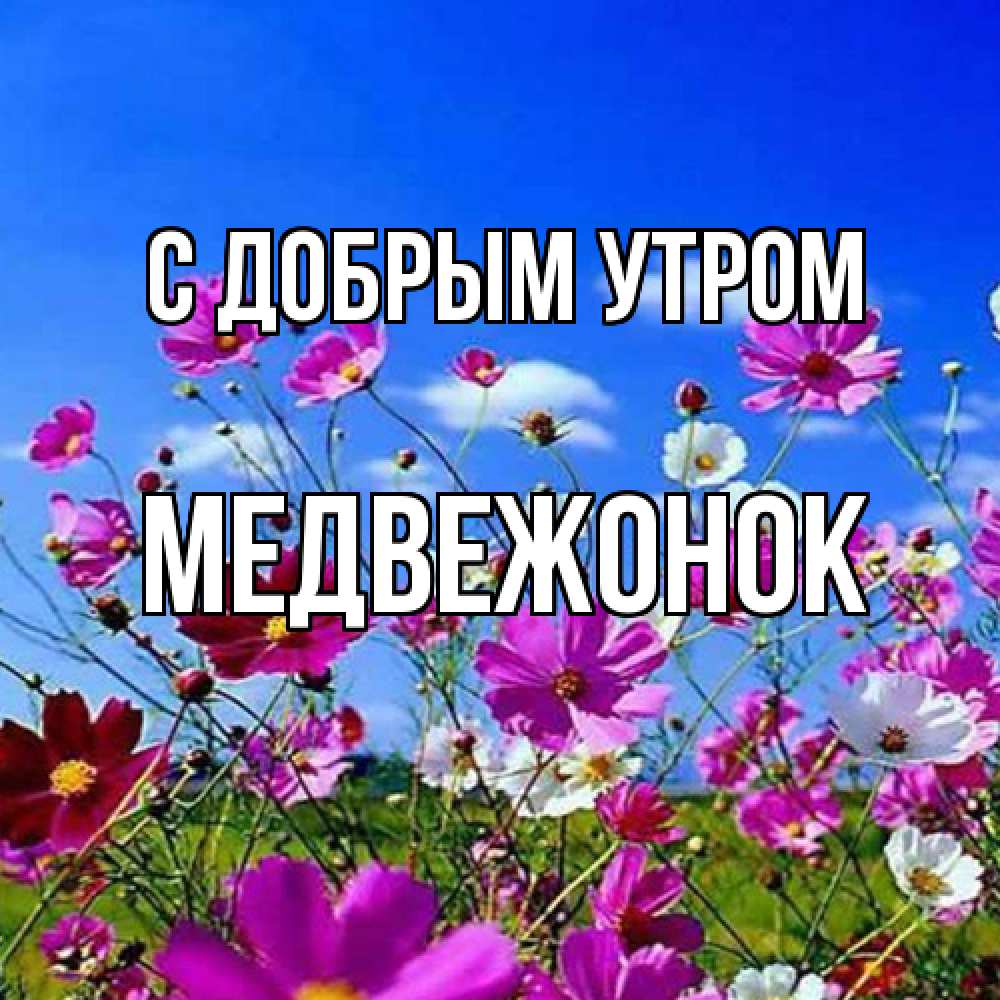 Открытка  с именем. Медвежонок, С добрым утром  