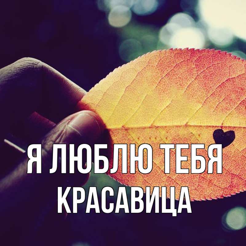 Картинка Я люблю тебя, Красавица