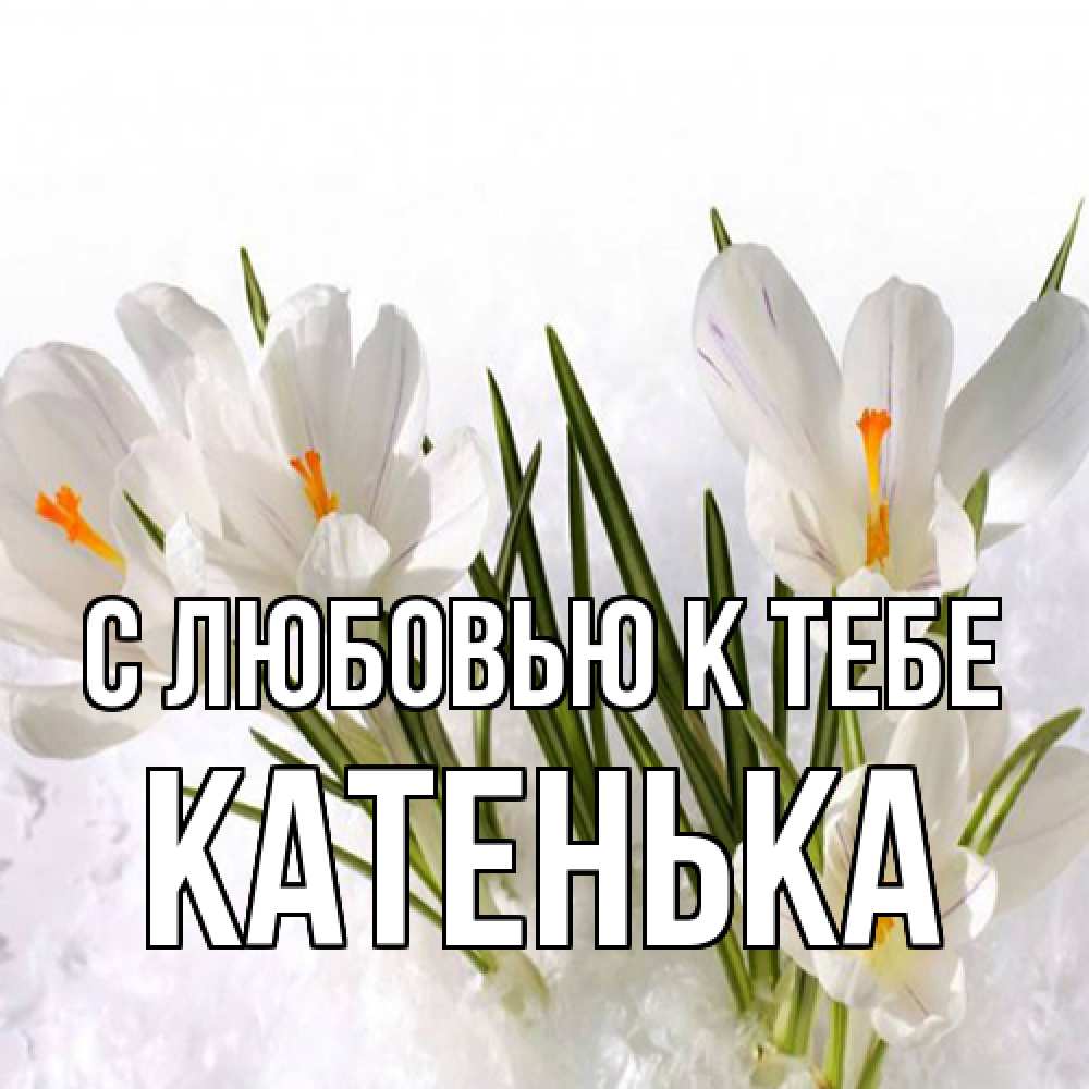 Открытка  с именем. Катенька, С любовью к тебе  