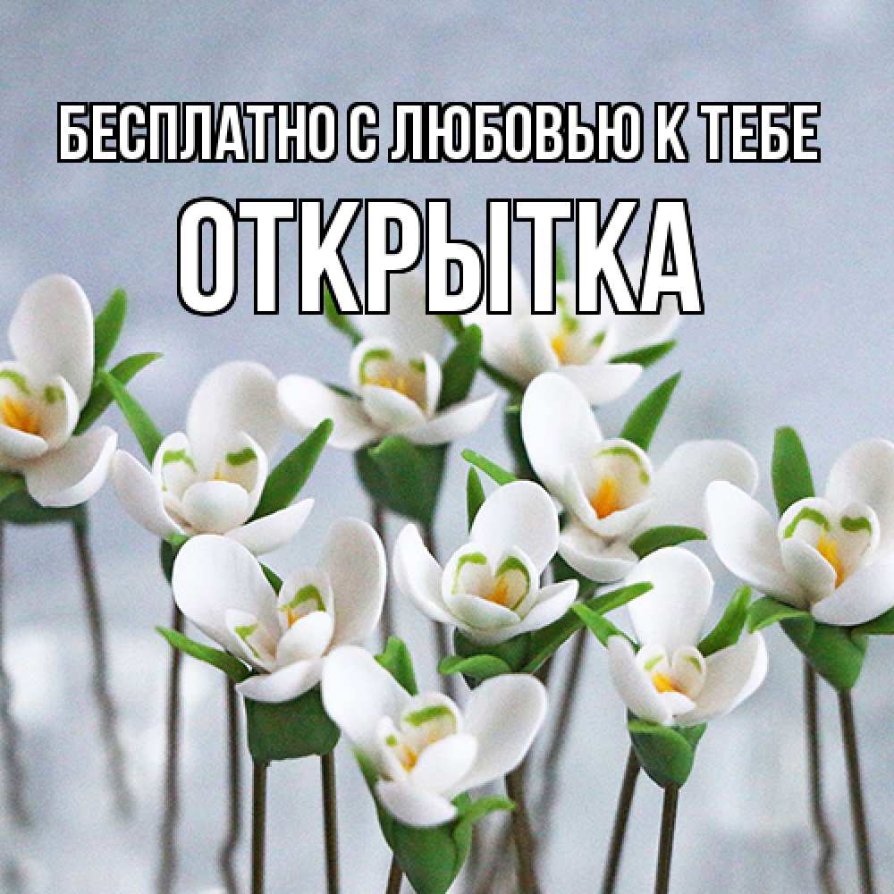 Открытка  с именем. открытка, С любовью к тебе  